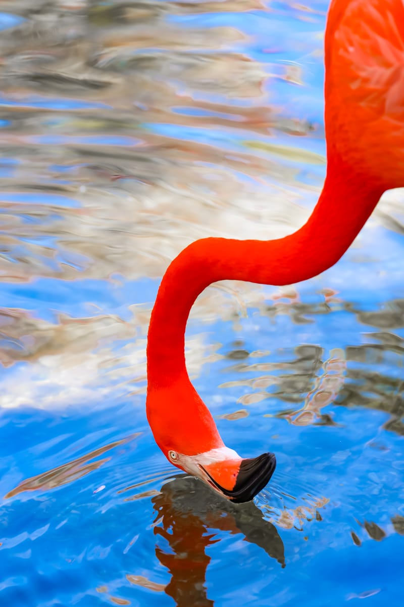 Embark on a visual journey with my lens as I capture the beauty, culture, and moments of destinations worldwide.