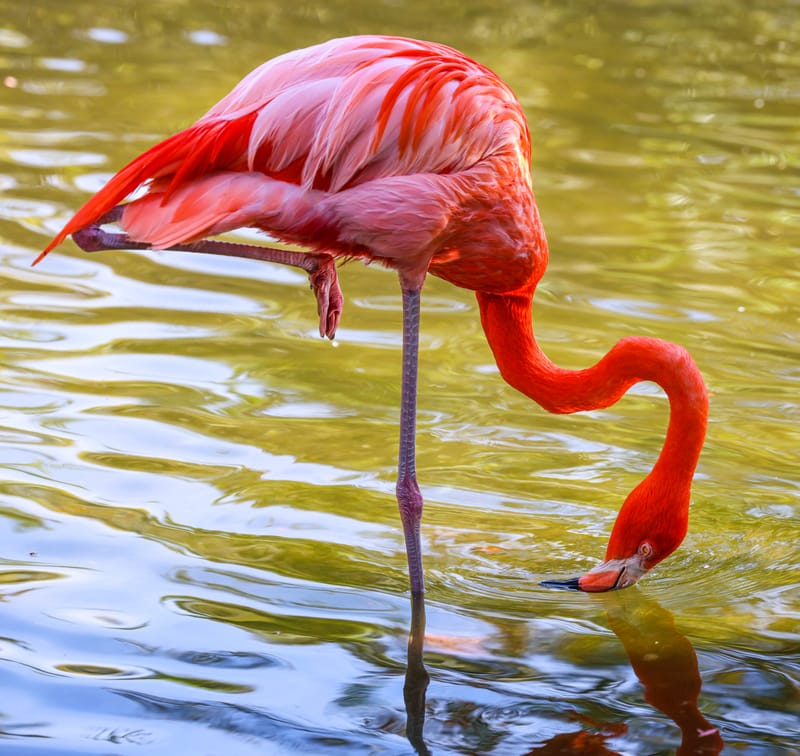 Embark on a visual journey with my lens as I capture the beauty, culture, and moments of destinations worldwide.