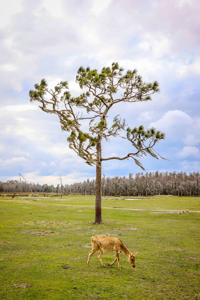 Embark on a visual journey with my lens as I capture the beauty, culture, and moments of destinations worldwide.