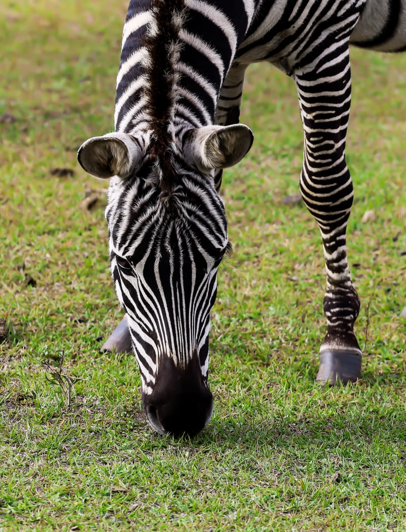 Embark on a visual journey with my lens as I capture the beauty, culture, and moments of destinations worldwide.