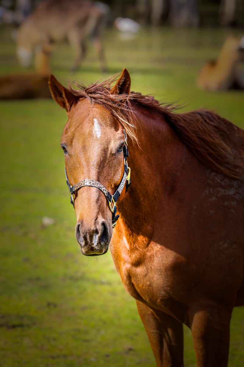 Embark on a visual journey with my lens as I capture the beauty, culture, and moments of destinations worldwide.