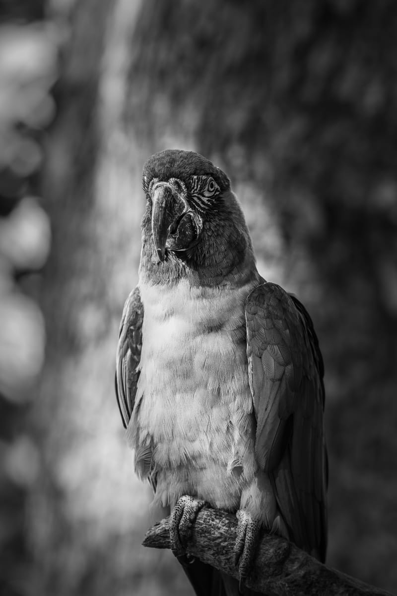 Embark on a visual journey with my lens as I capture the beauty, culture, and moments of destinations worldwide.