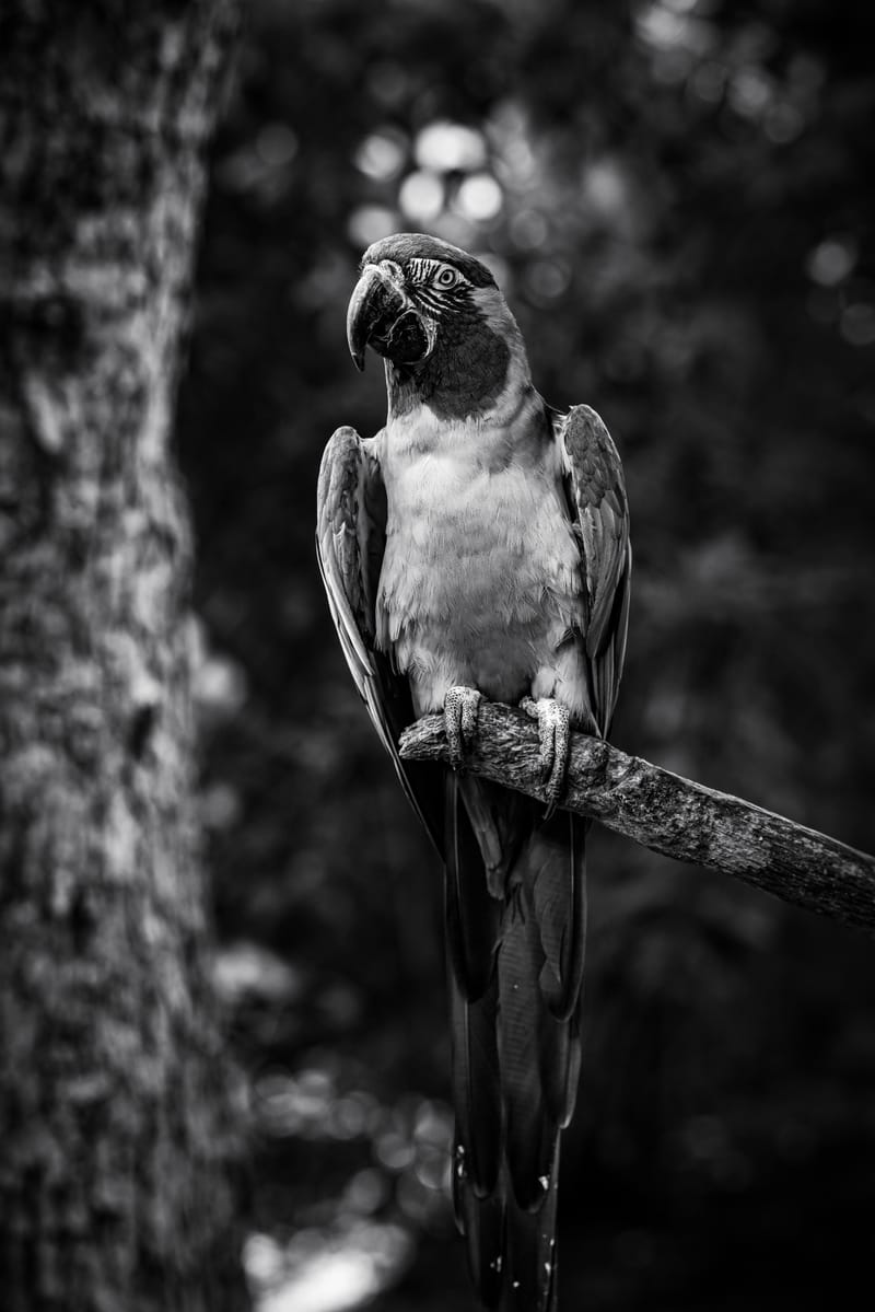 Embark on a visual journey with my lens as I capture the beauty, culture, and moments of destinations worldwide.