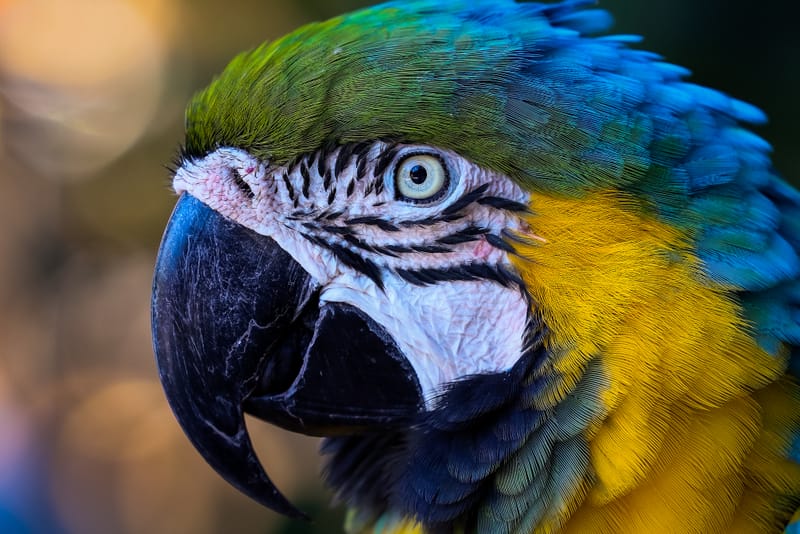 Embark on a visual journey with my lens as I capture the beauty, culture, and moments of destinations worldwide.