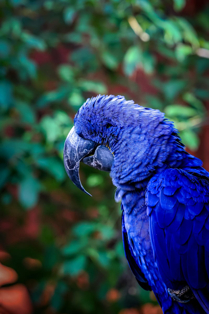 Embark on a visual journey with my lens as I capture the beauty, culture, and moments of destinations worldwide.