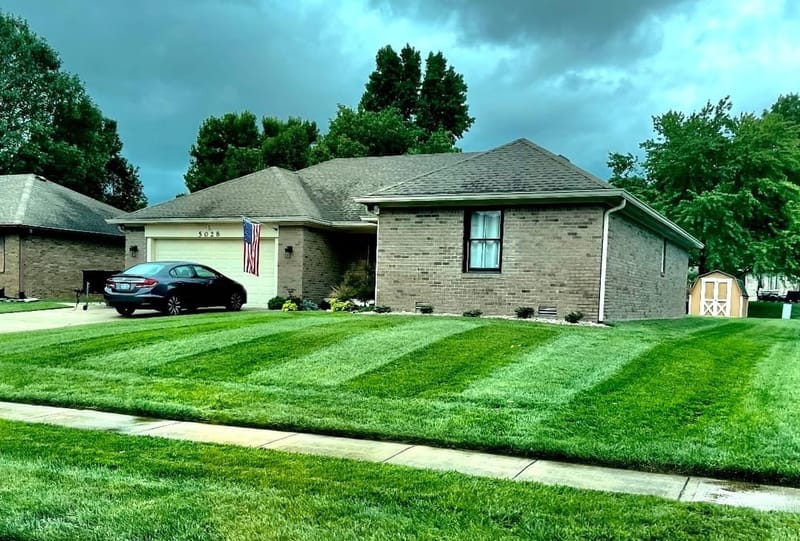 Personalized Lawn Treatments