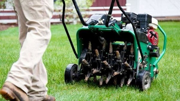 Aeration and Overseeding