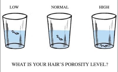 What is My Hair’s Porosity Level?