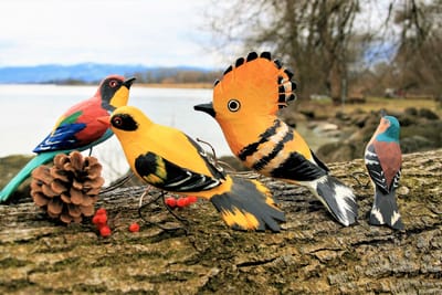 home ownership image