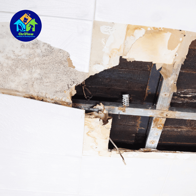 Dehumidification Services