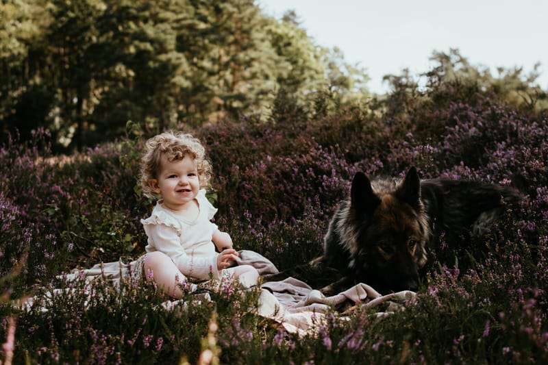 Quality time met het hele gezin