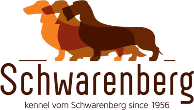 Vom Schwarenberg Dachshunds