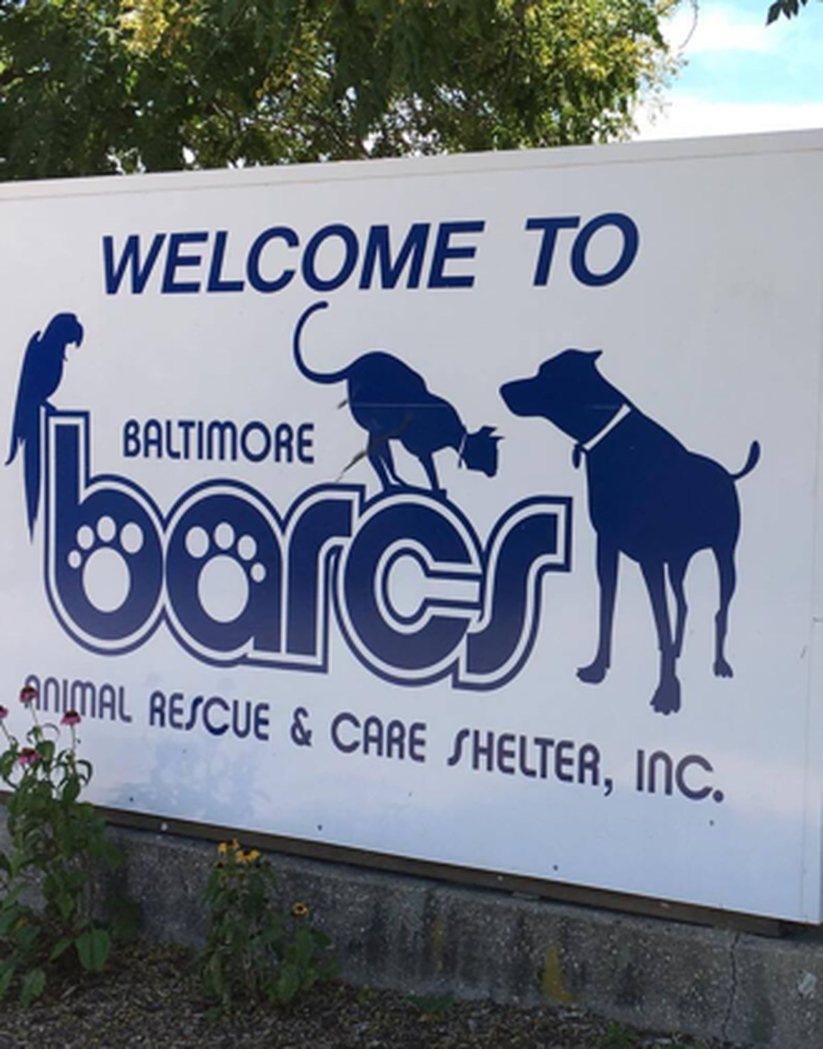 Baltimore Animal Rescue and Care Shelter(BARCS)