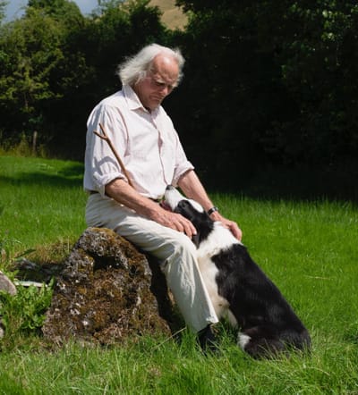 Owning a Dog May Help Prevent Dementia