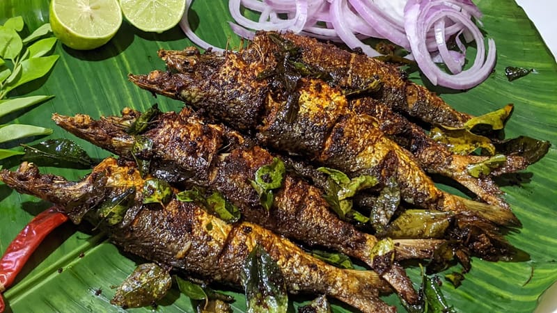 Sardine Fry