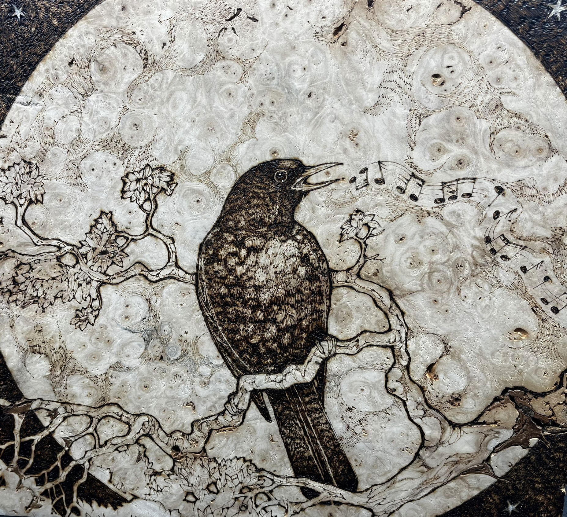 WEDGES can be purchased at the showroom or shipped at cost.