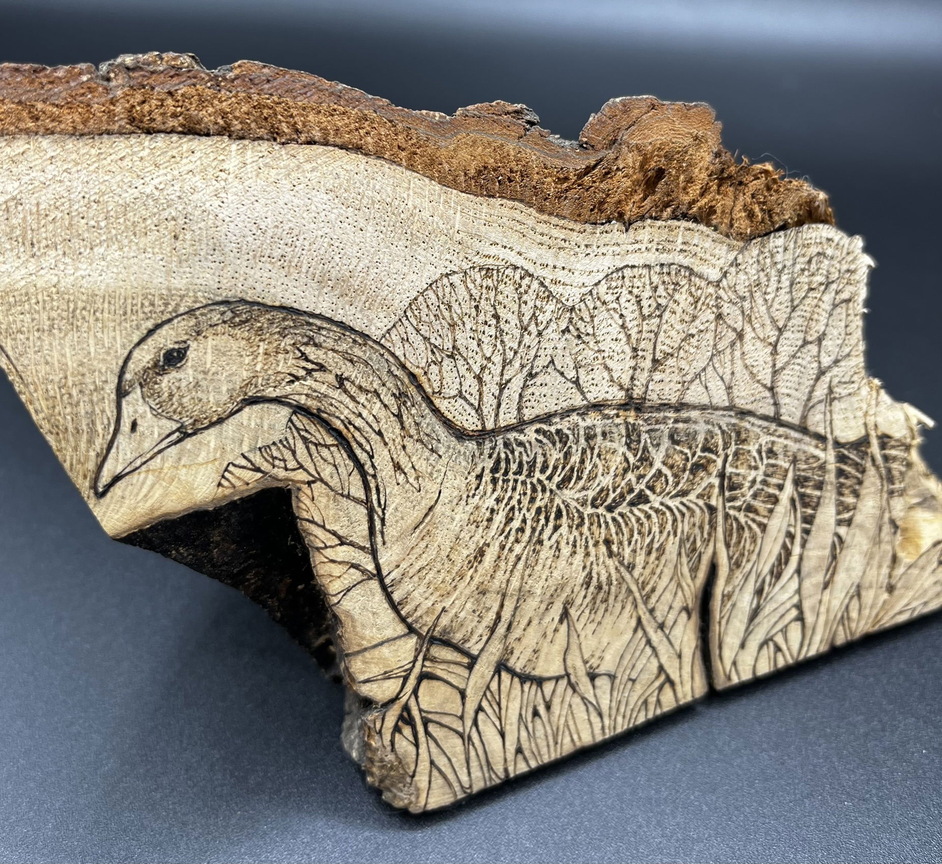 WEDGES can be purchased at the showroom or shipped at cost.