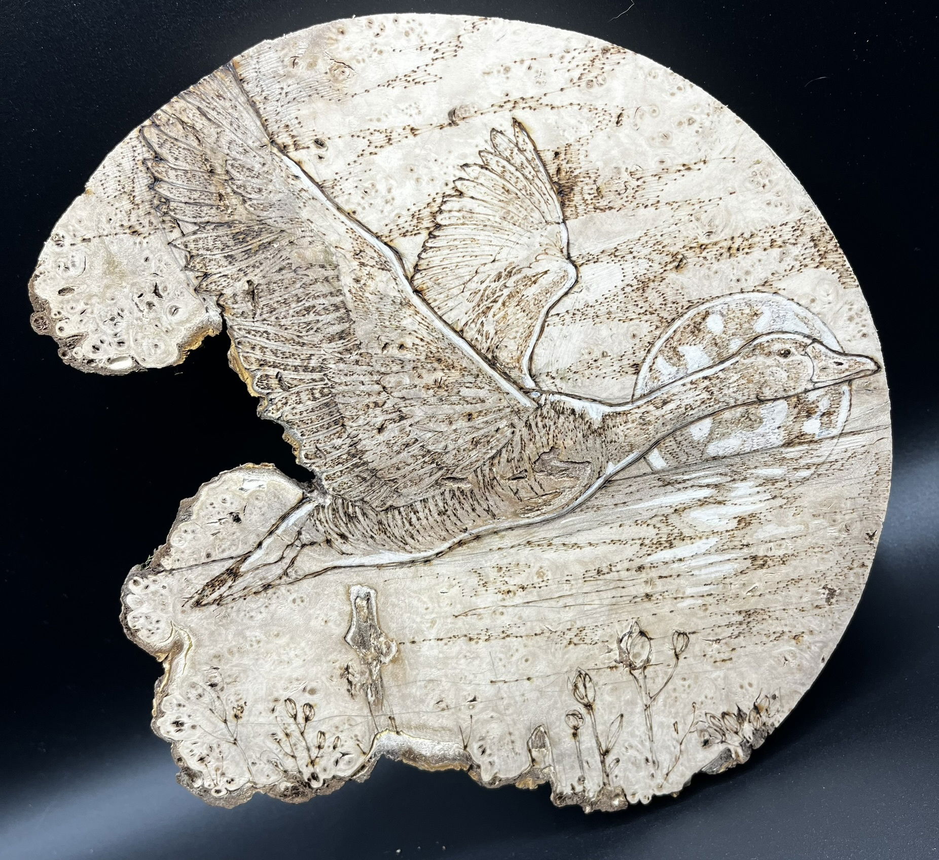 WEDGES can be purchased at the showroom or shipped at cost.