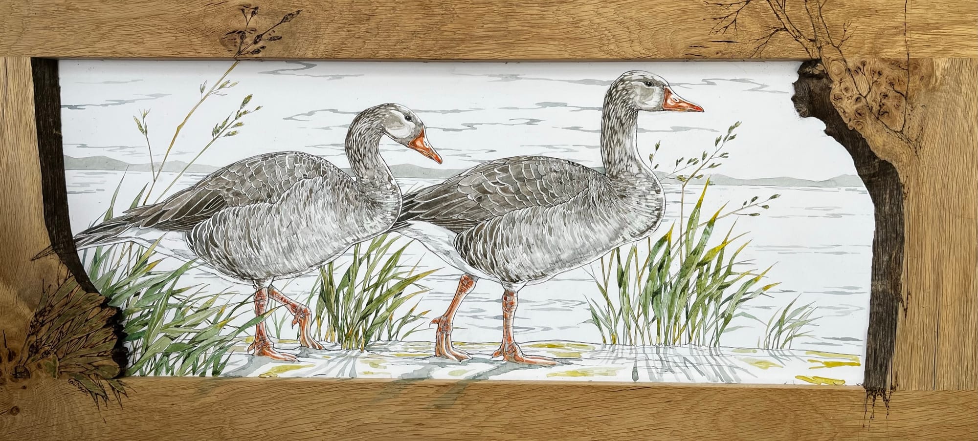 Bespoke hardwood frames, pen and ink illustration, and pyrography - 'PINKS'