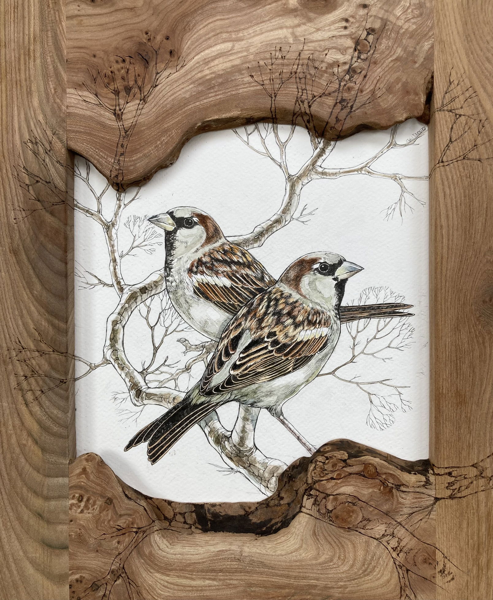 Bespoke hardwood frames, pen and ink illustration, and pyrography - 'PINKS'