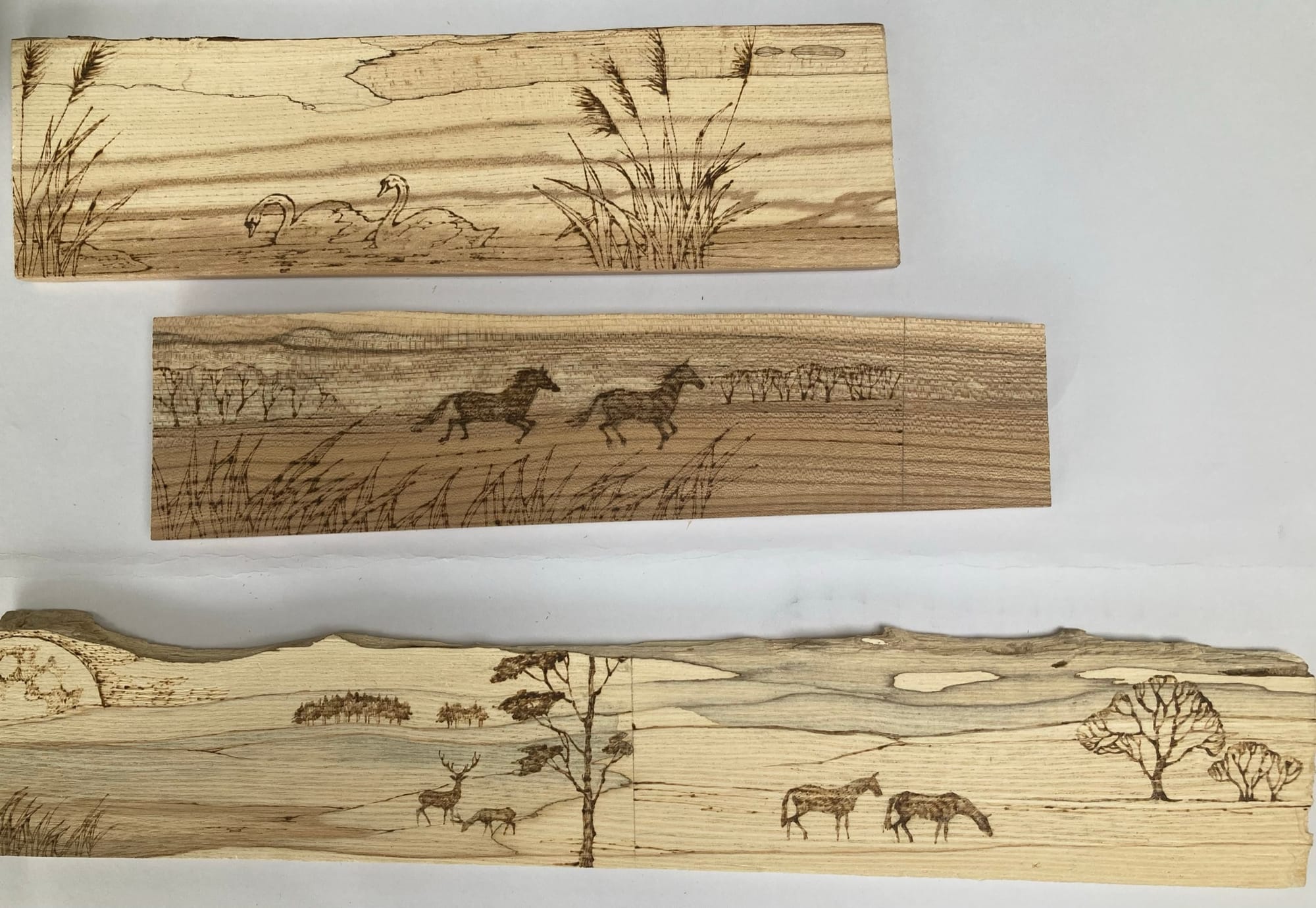 Thin selected pieces of kiln dried hardwood chosen for pyrography - 'FLATTIES'