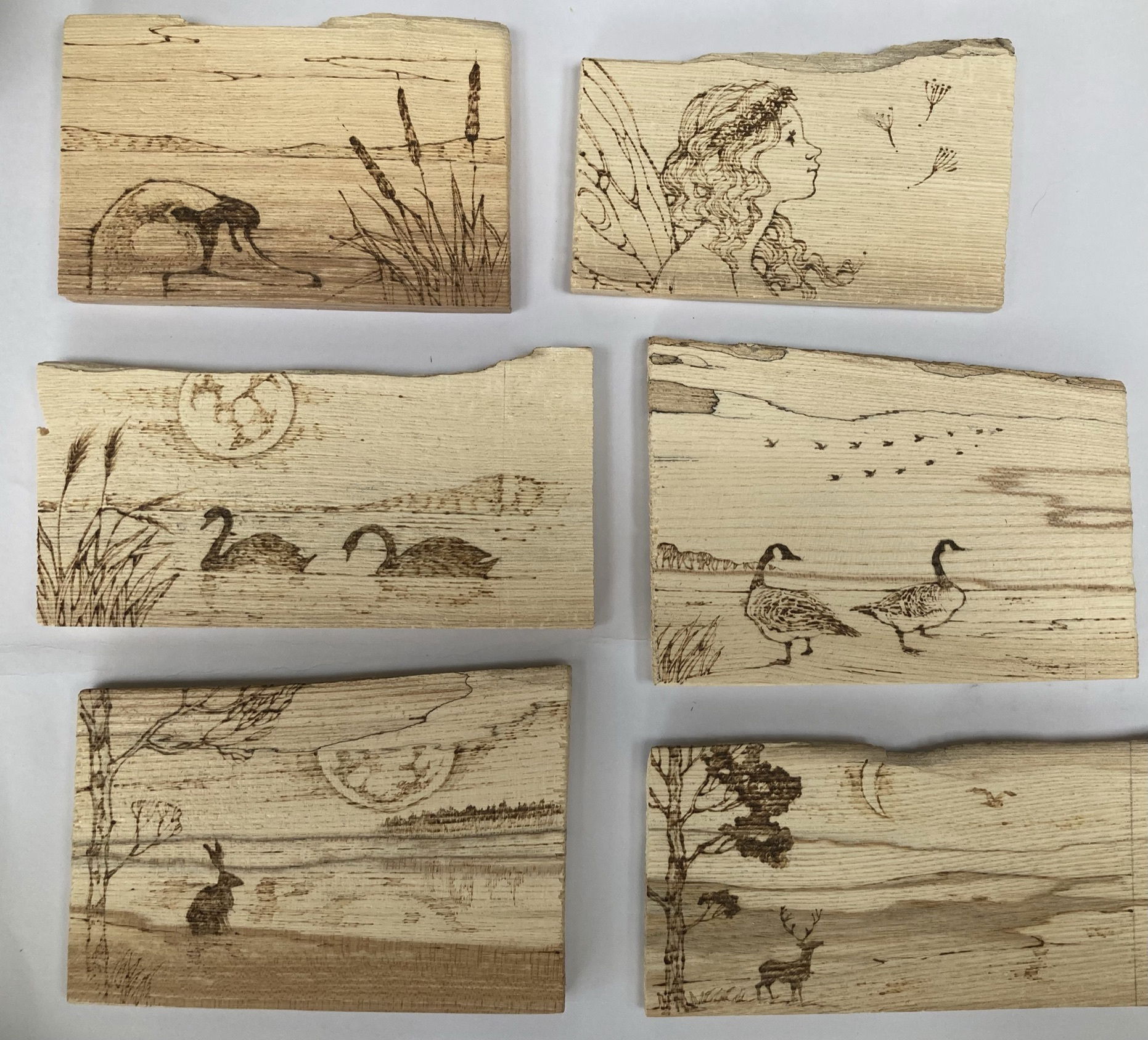 Thin selected pieces of kiln dried hardwood chosen for pyrography - 'FLATTIES'