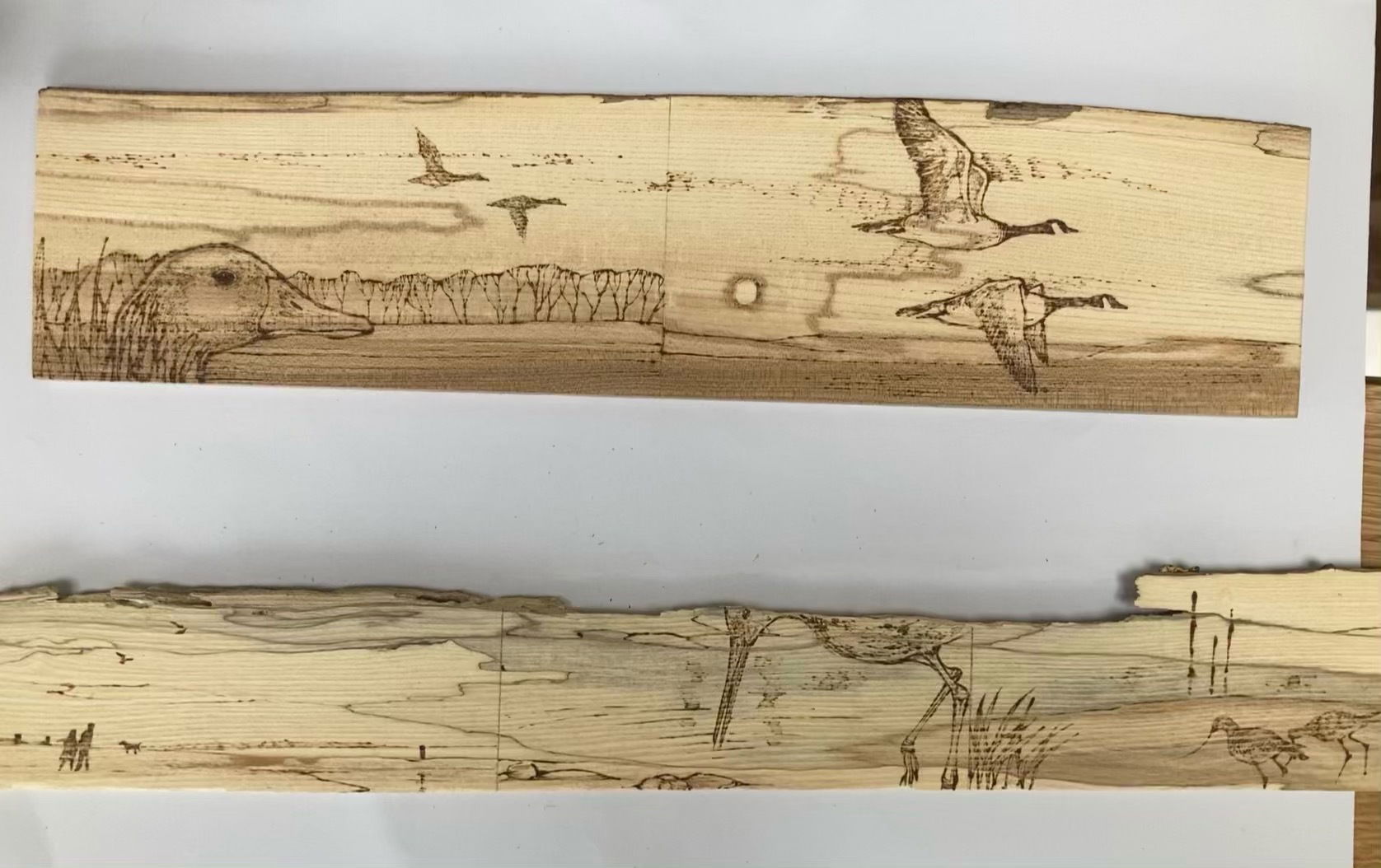 Thin selected pieces of kiln dried hardwood chosen for pyrography - 'FLATTIES'