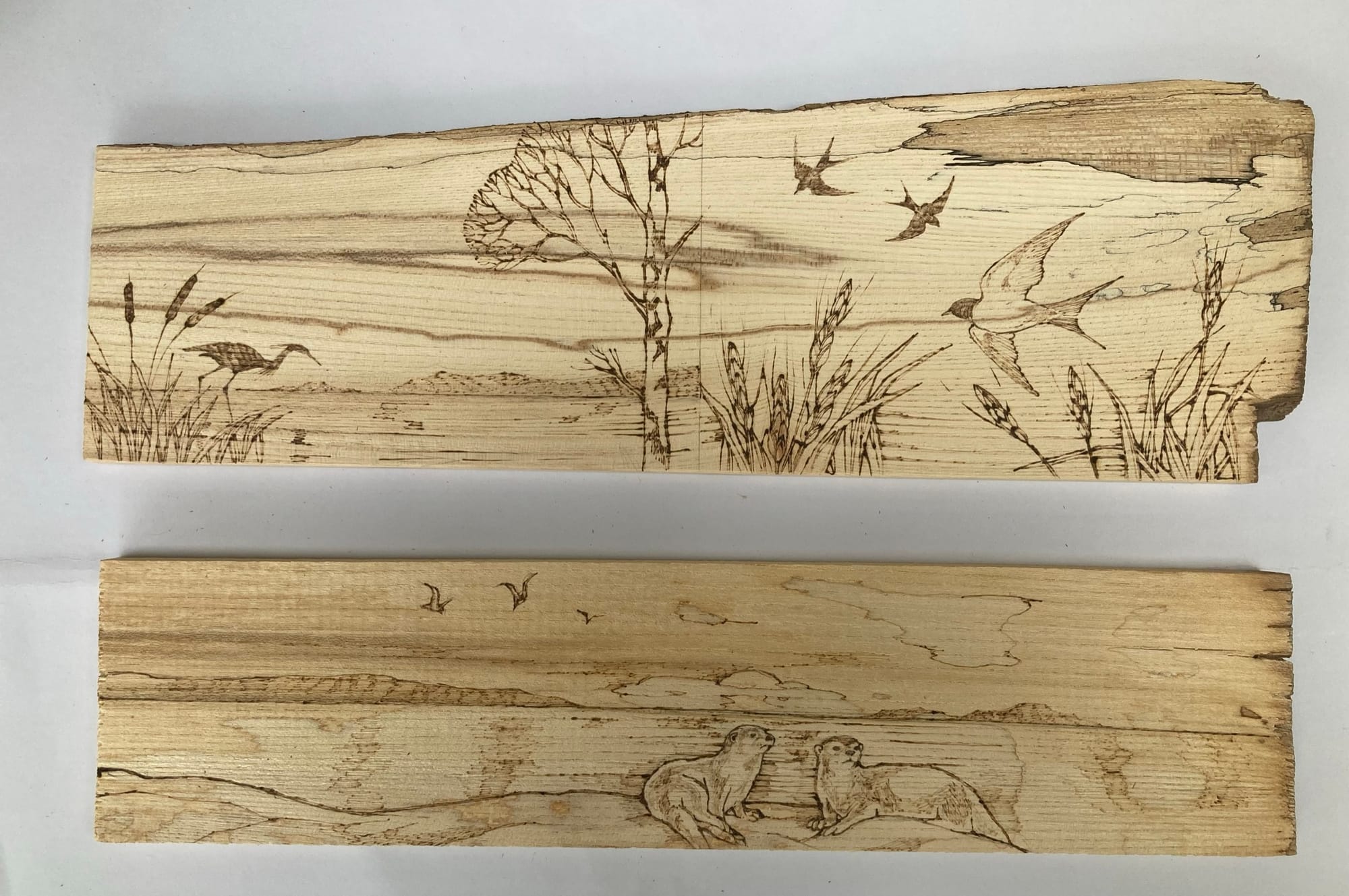 Thin selected pieces of kiln dried hardwood chosen for pyrography - 'FLATTIES'