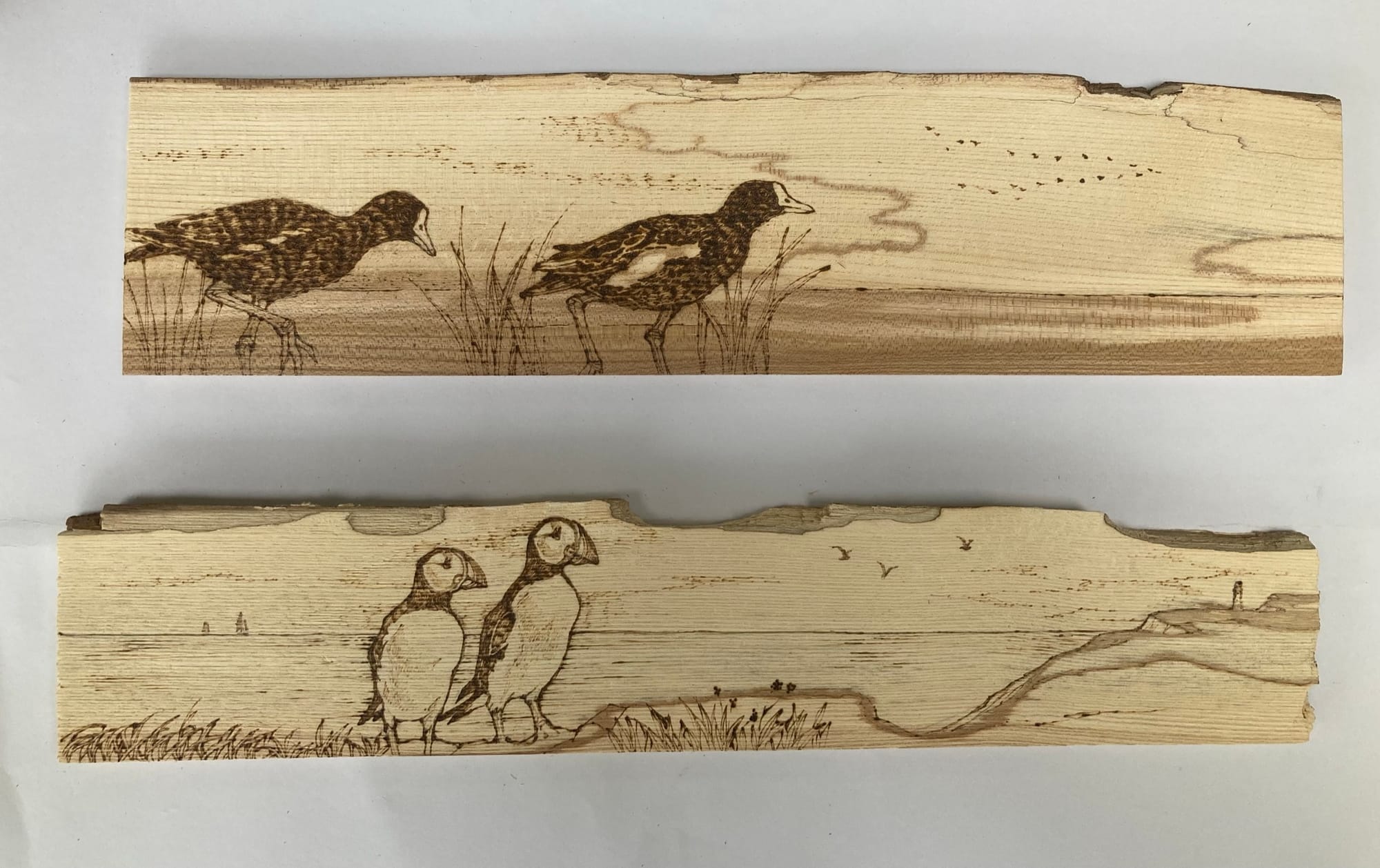 Thin selected pieces of kiln dried hardwood chosen for pyrography - 'FLATTIES'