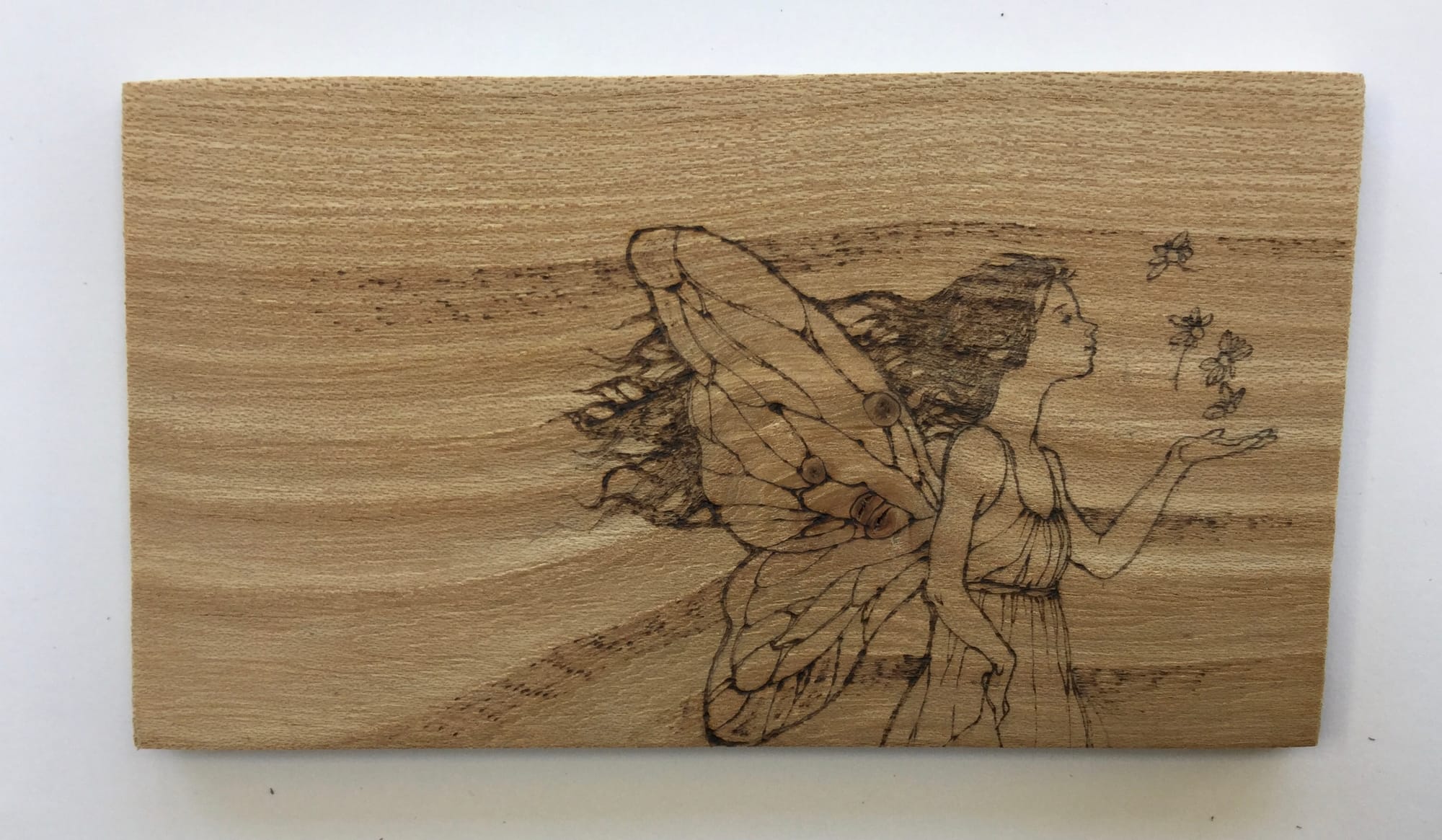 Thin selected pieces of kiln dried hardwood chosen for pyrography - 'FLATTIES'