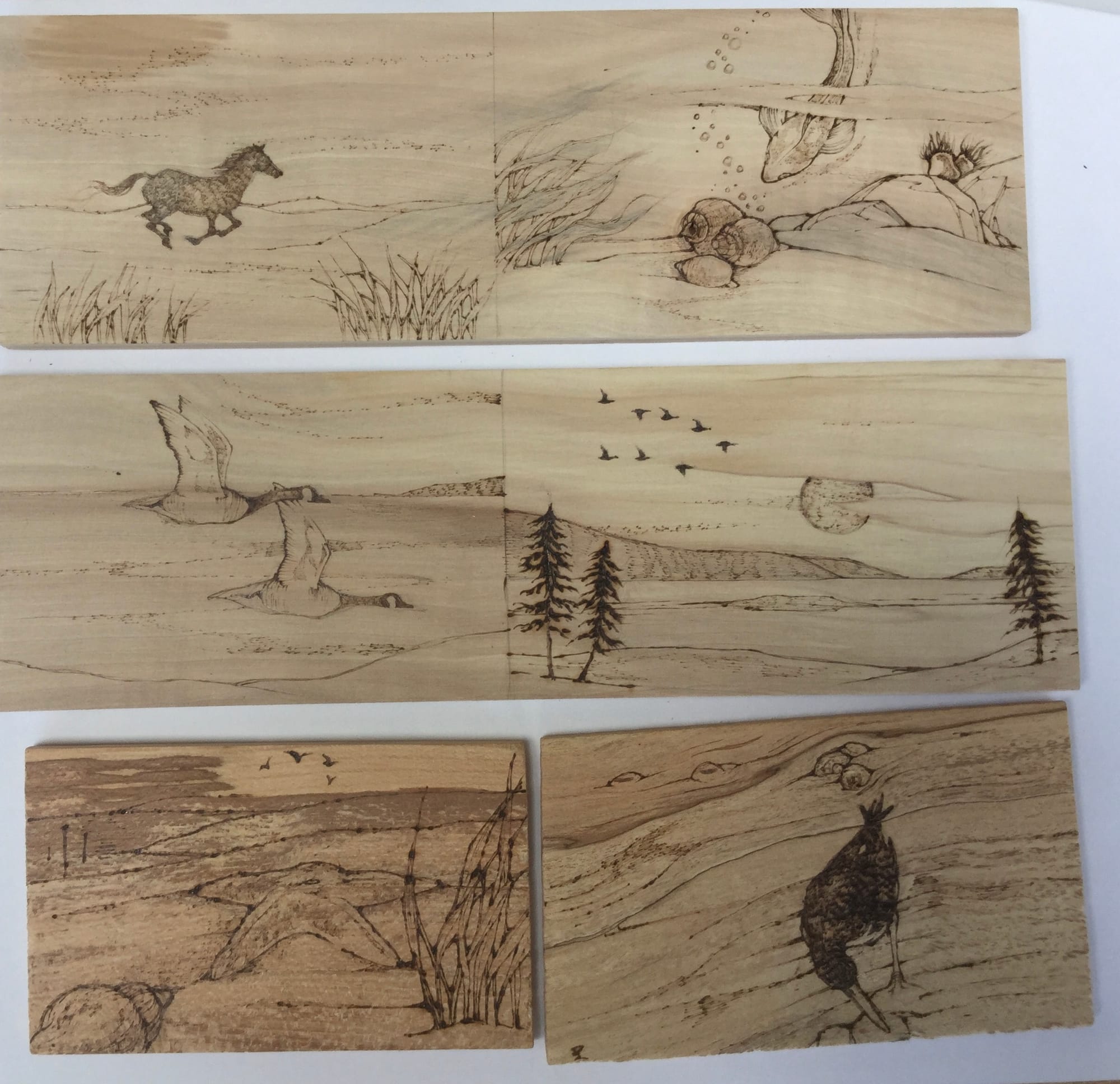 Thin selected pieces of kiln dried hardwood chosen for pyrography - 'FLATTIES'