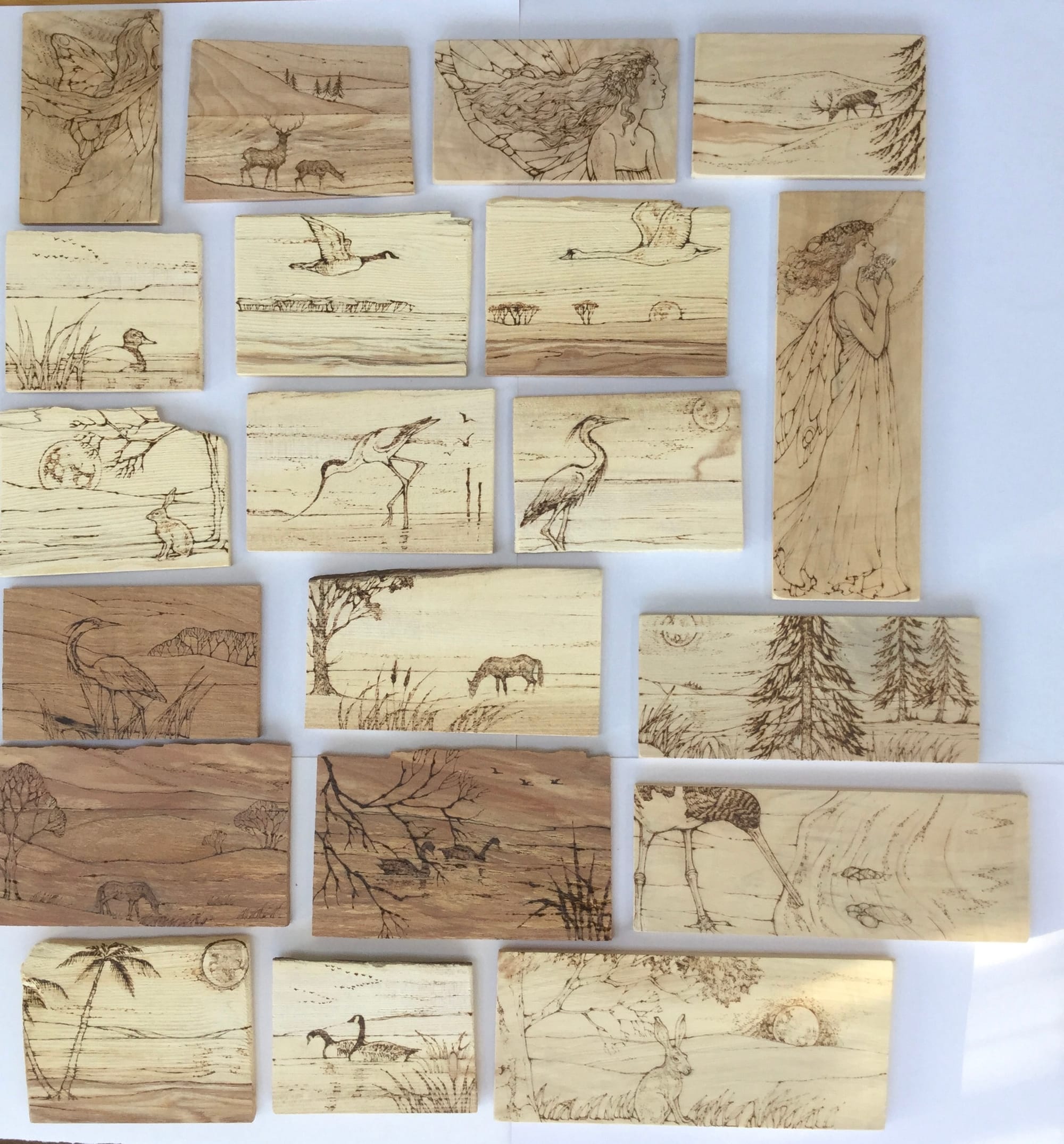 Thin selected pieces of kiln dried hardwood chosen for pyrography - 'FLATTIES'