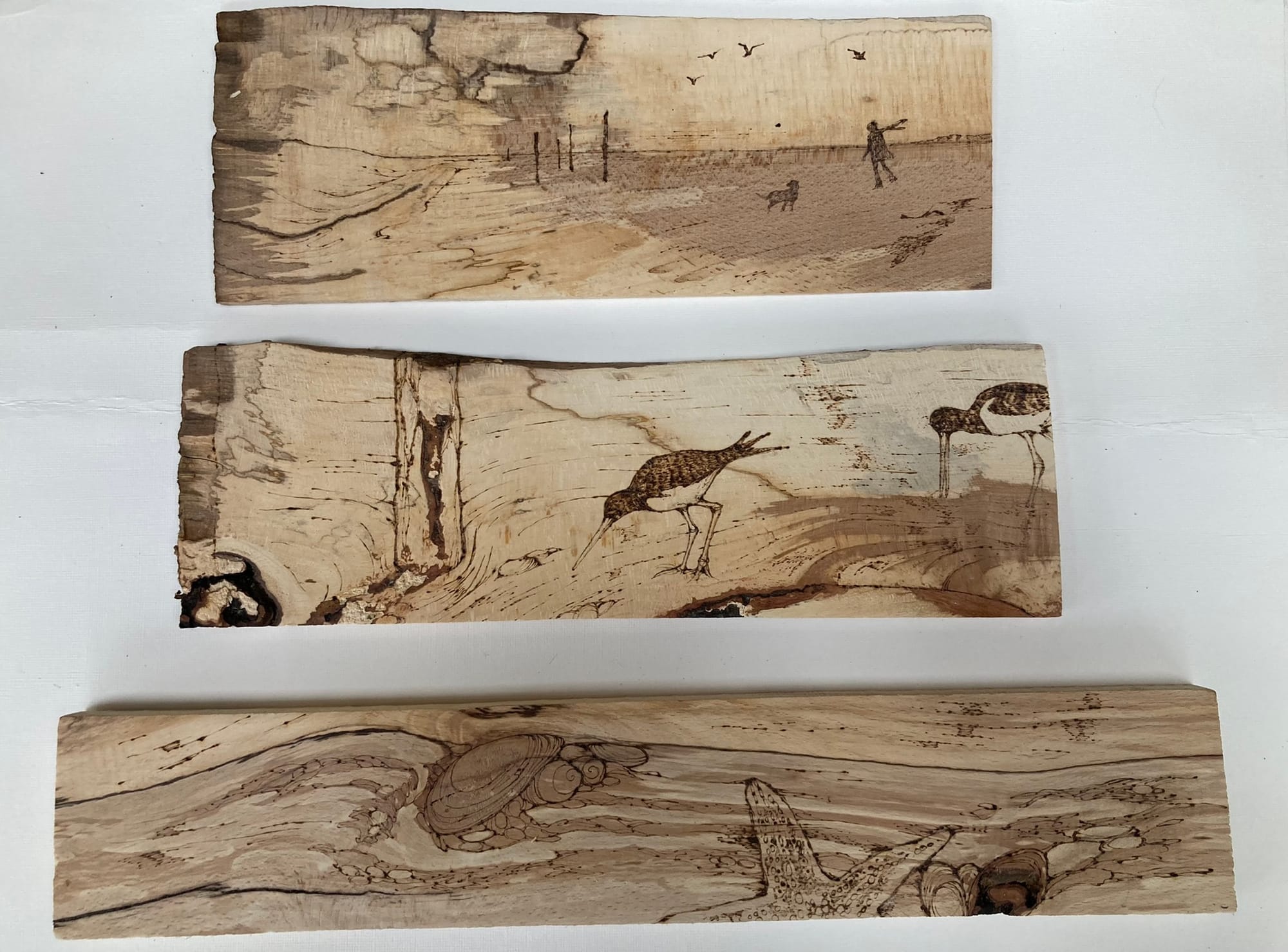 Thin selected pieces of kiln dried hardwood chosen for pyrography - 'FLATTIES'