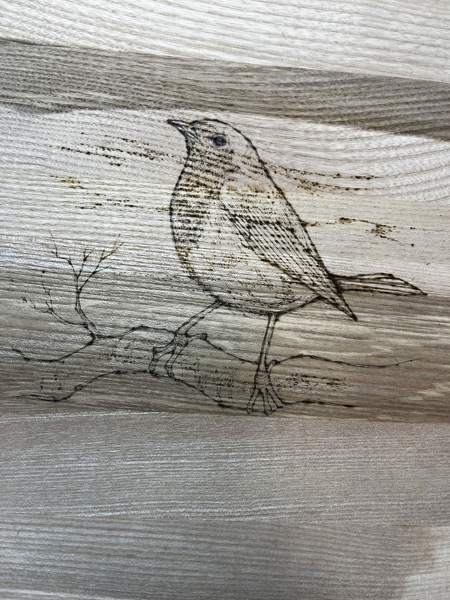 Pyrography on boxes, mirrors and furniture.