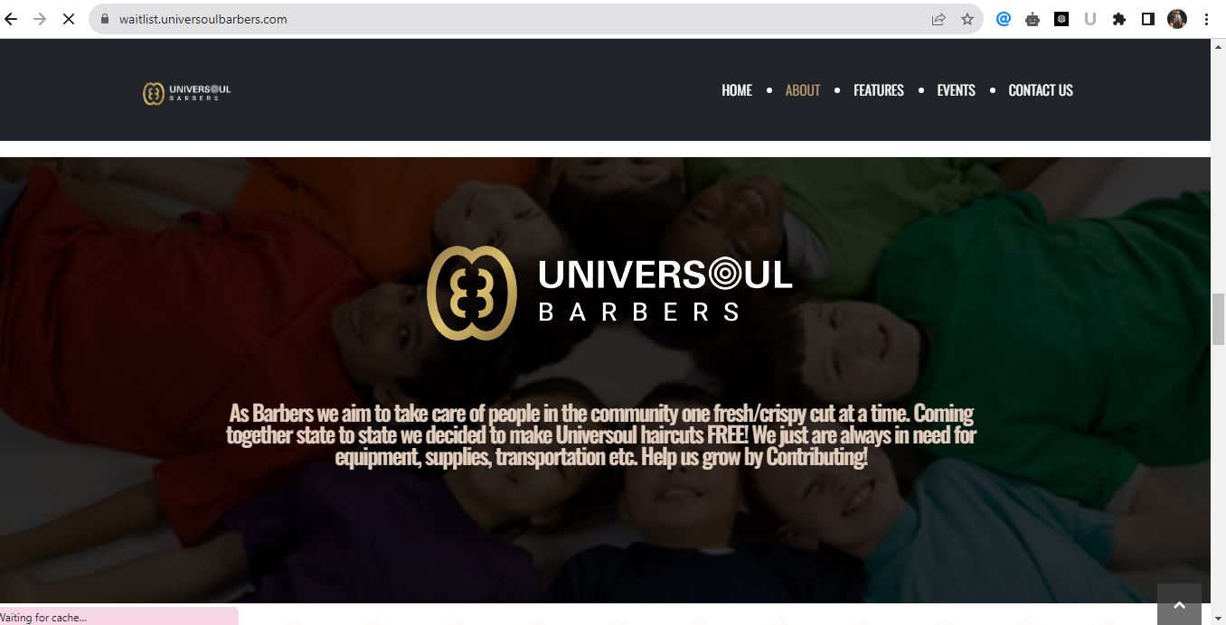 Website design / WordPress / development