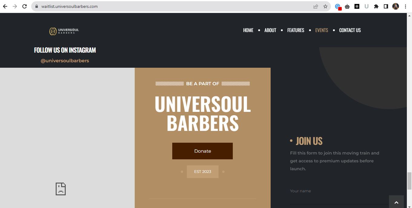Website design / WordPress / development