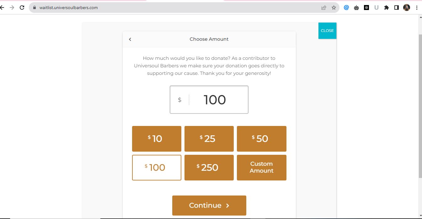 Website design / WordPress / development