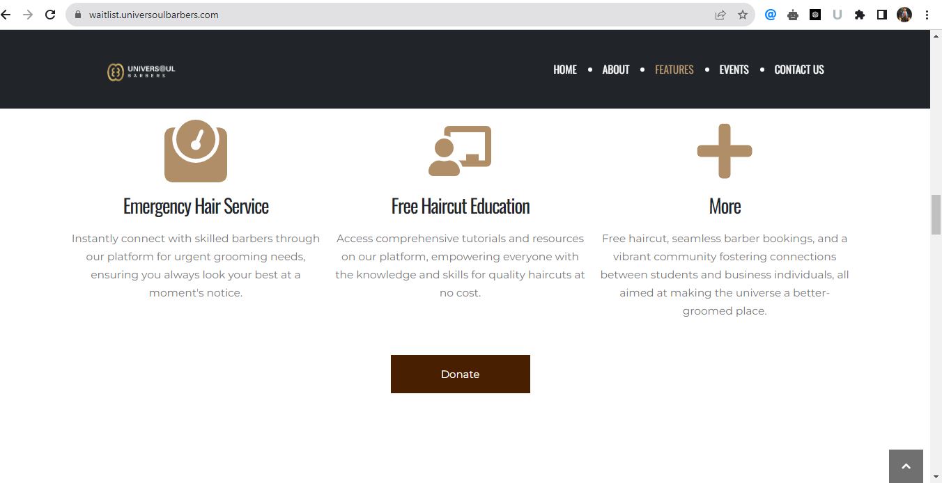 Website design / WordPress / development