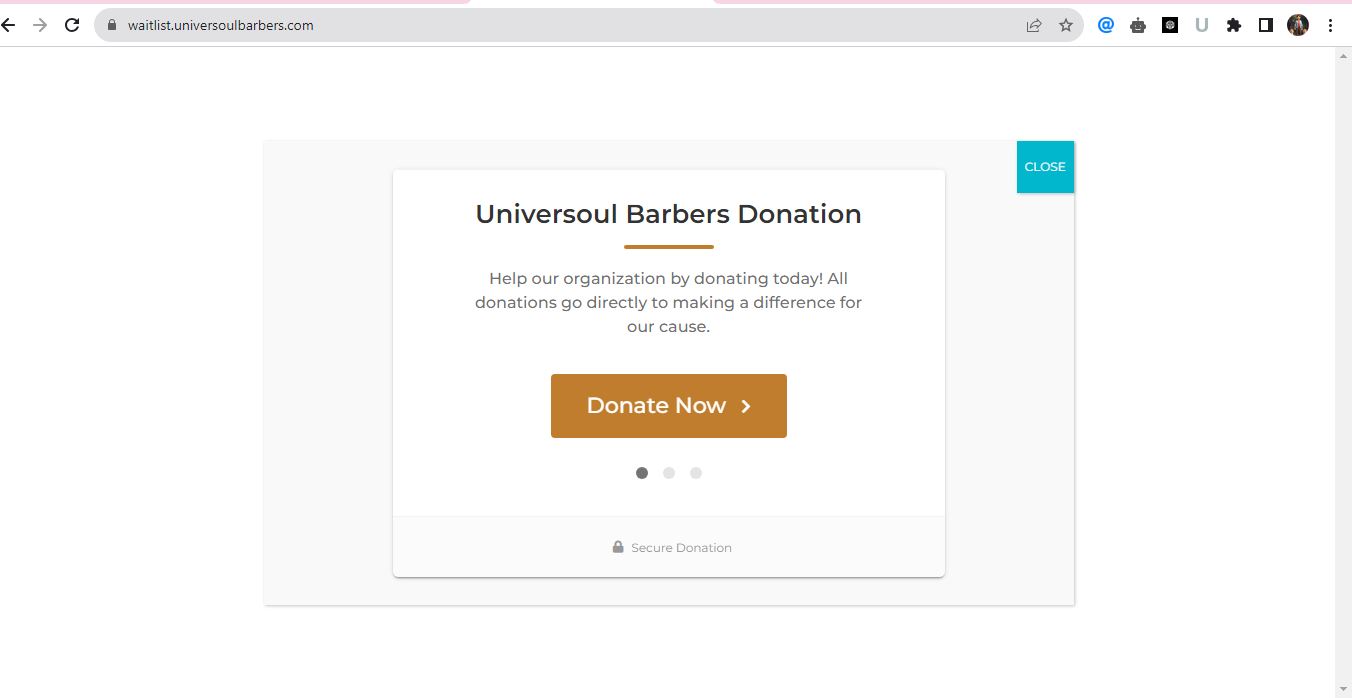 Website design / WordPress / development