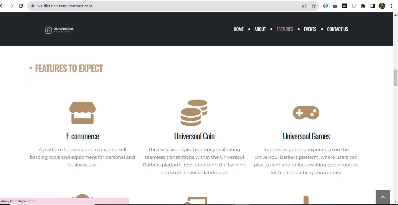 Website design / WordPress / development