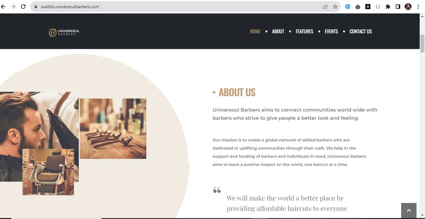 Website design / WordPress / development