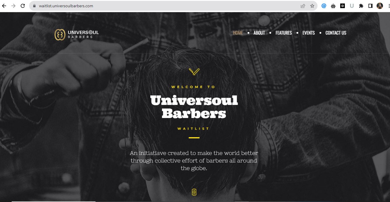 Website design / WordPress / development