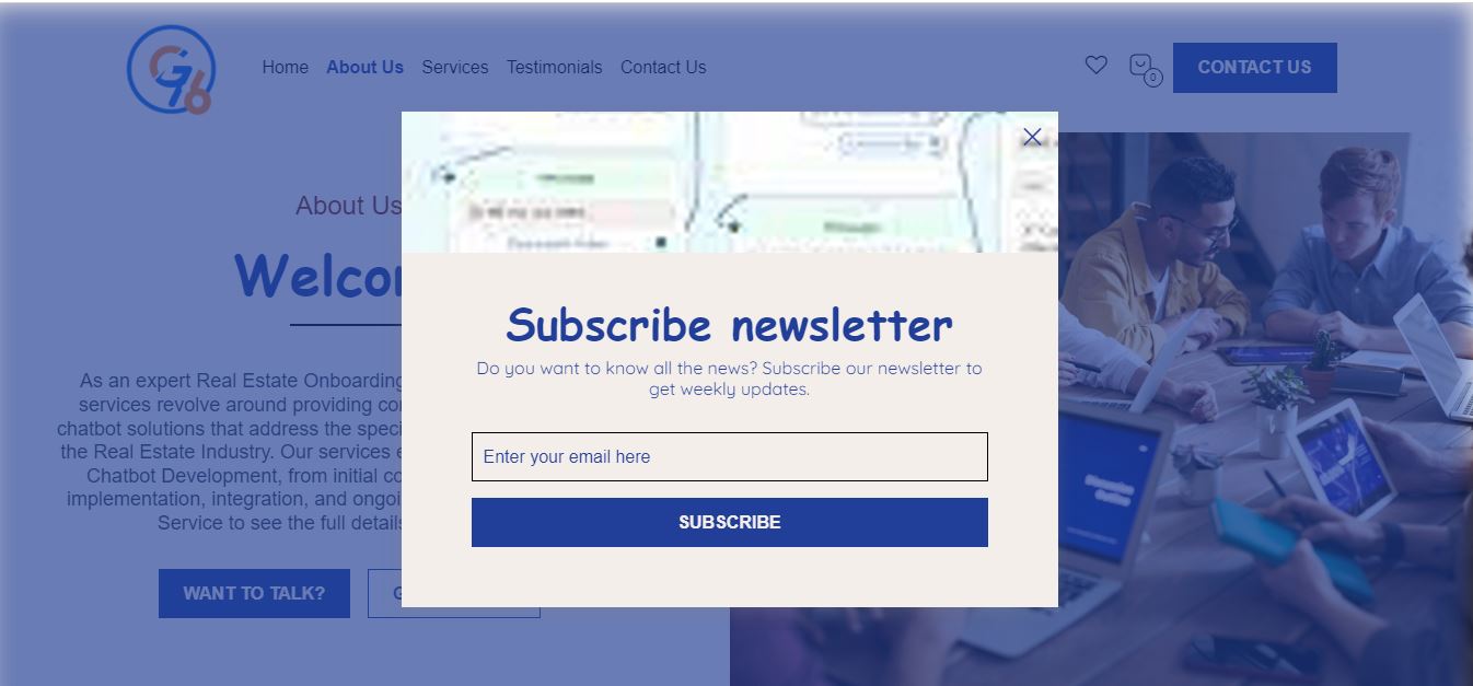 Website design / WordPress / development