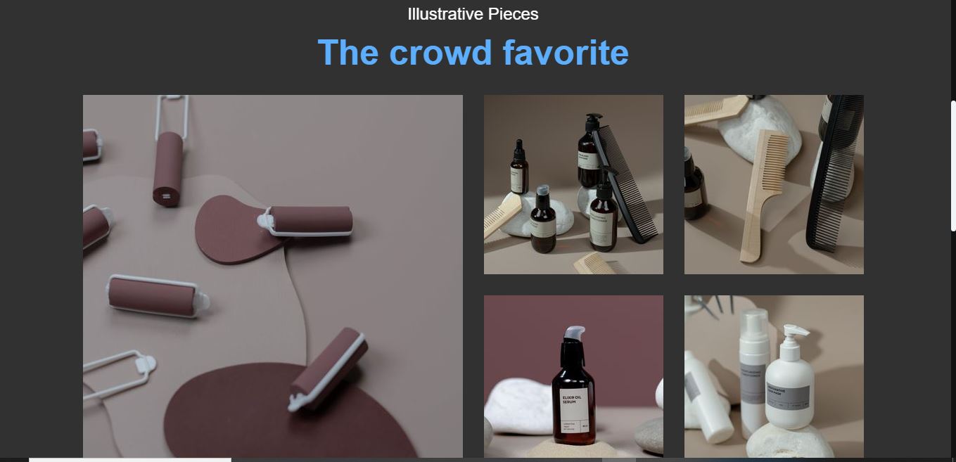 Website design / WordPress / development