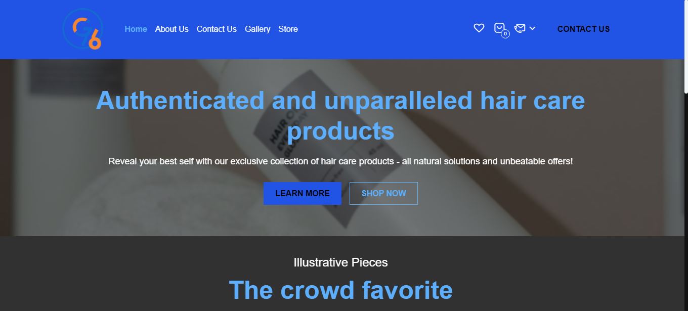 Website design / WordPress / development