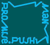 .push- new promise