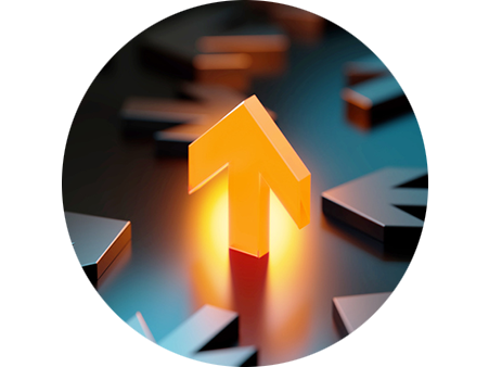 A TAILORED SOLUTION, NOT A VARIATION