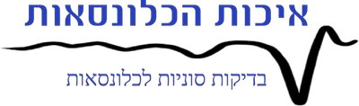איכות הכלונסאות - PilesQuality