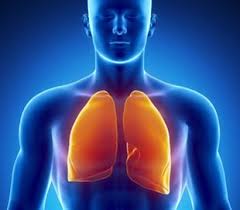 PRANAYAMA - TECHNIQUES DE RESPIRATION (JEUDI/10H)