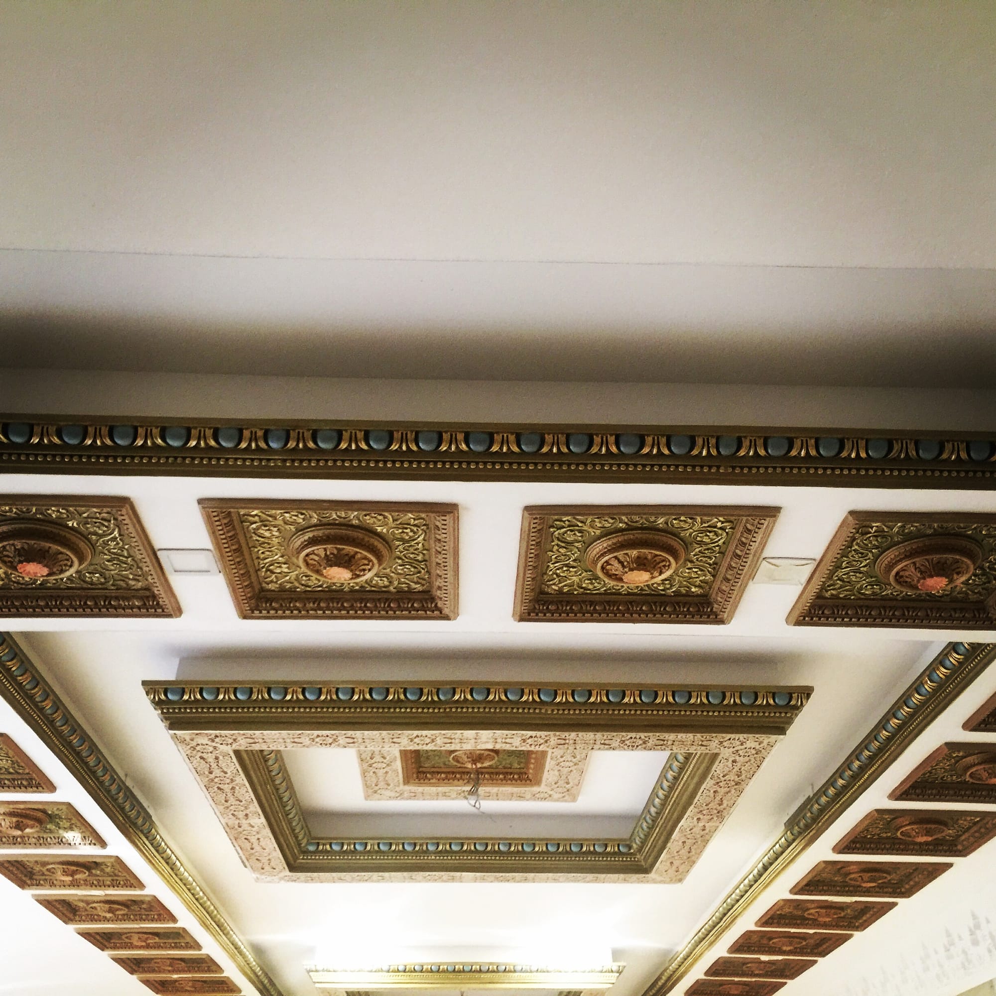 الاصباغ الداخلية